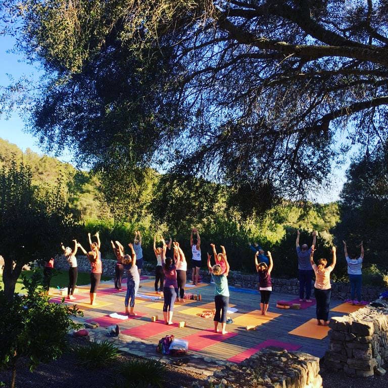 Yogis auf Aussenplatform